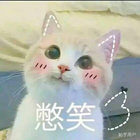  有什么可爱的表情包.