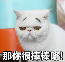  这可能就是你单身多年的原因