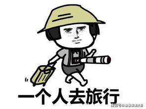 表情包好奇在干嘛
