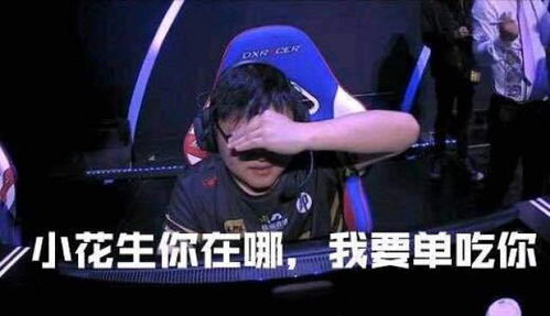  lolmsi世界赛rng夺冠表情包汇总旗木卡卡让牛逼