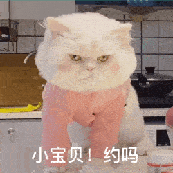  历史回顾大脸猫球球表情包第二弹