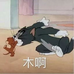  最能激起你学习激情的话是什么