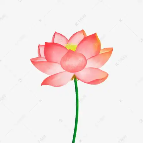 表情小暑大暑夏季荷花植物纯手绘写实画透明元素素材图片免费下载千库网表情 表情小暑大暑夏季荷花植物纯手绘写实画透明元素素材图片免费下载千库网表情
