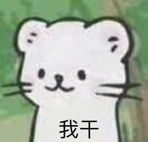  菜比hxw的吃攻略