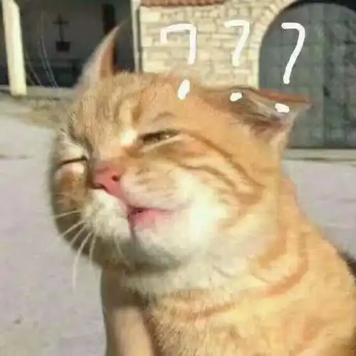 求教怎么吵赢自家的猫,我气得心脏病都快犯了 求教怎么吵赢自家的猫,我气得心脏病都快犯了