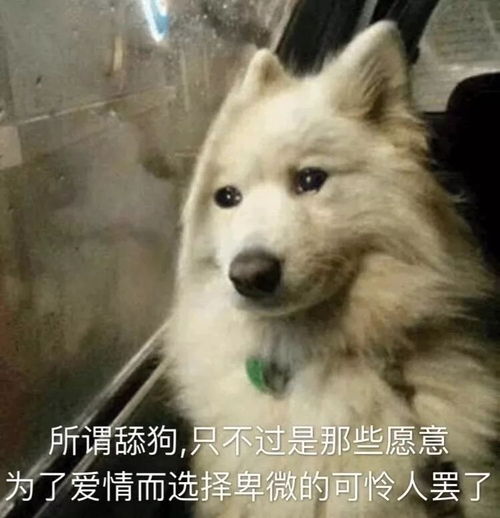 恋爱中的表情包舔狗