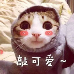 给男朋友道歉表情包去医