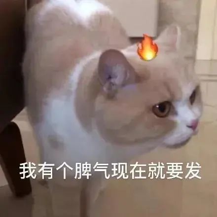  聊天必用的可爱表情包