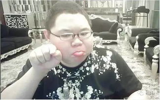 pdd我裂了表情包天天玩