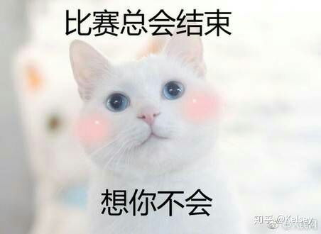  推荐的专业四级词汇书吗
