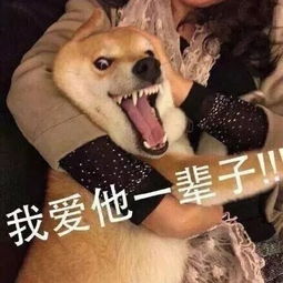  男生都爱素颜,这里的素颜霜让你轻松拿下男神