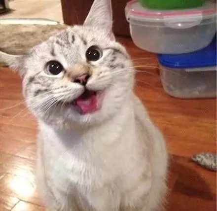 煤矿各岗位表情一览请确认,这是不是你的眼神不许笑 煤矿各岗位表情一览请确认,这是不是你的眼神不许笑