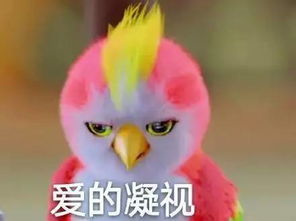 小鹦鹉表情包q版楚乔传