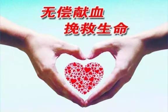  献血总量达45520ml江门保险行业协会这些人太暖了