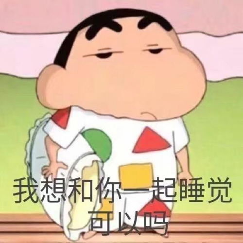  我想和你一起睡觉可以吗表情包大全