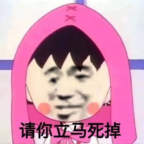  今日表情包