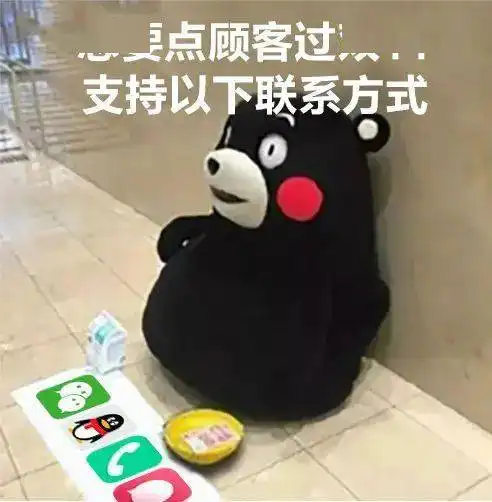 美了美了歌词表情包医美