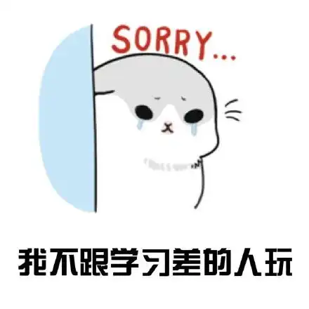 857的表情包动图闪光肉