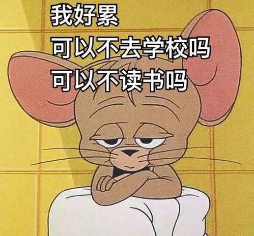  表情包去上学必备的表情包