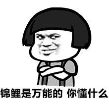  天天转锦鲤表情包无水印版下载