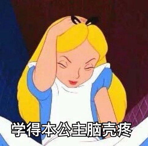  有什么关于考试复习的表情包