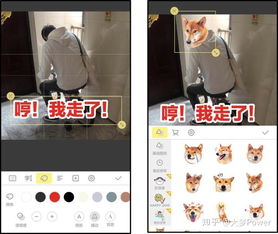 表情微信聊天斗图,你需要这些绝招知乎表情 表情微信聊天斗图,你需要这些绝招知乎表情