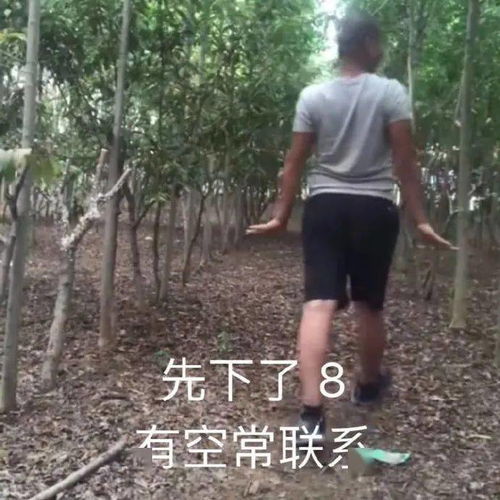  表情包我没有不开心