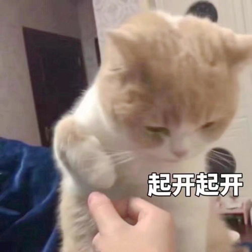 每日一笑小时候在姥姥家拿着一卦小鞭,把一群鹅撵到臭水沟里了