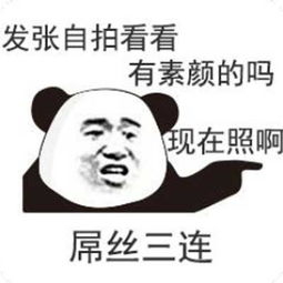 表白三连表情包男友出租