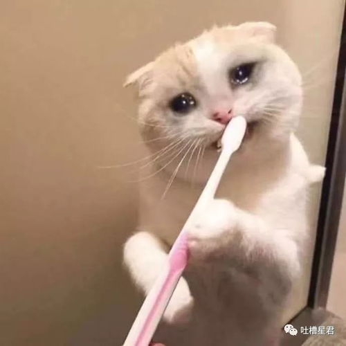 他只得到我的身体...渣女劈腿后回复道,聊天截图你们感受下...