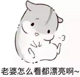  搞笑gif爱老婆专用表情包