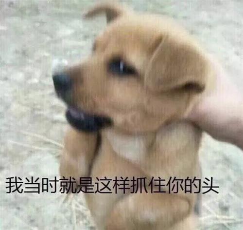 垃圾你就是一个垃圾不会改变