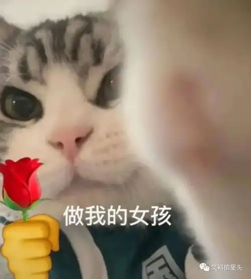 适合找对象发的沙雕文案 适合找对象发的沙雕文案