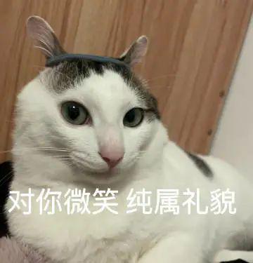  喵表情包对你微笑,纯属礼貌