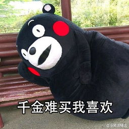 每当下定决心想存钱的时候 每当下定决心想存钱的时候