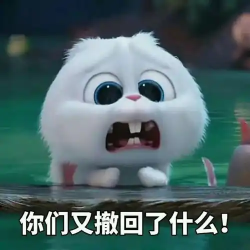 不妙啊家人们表情包野兔