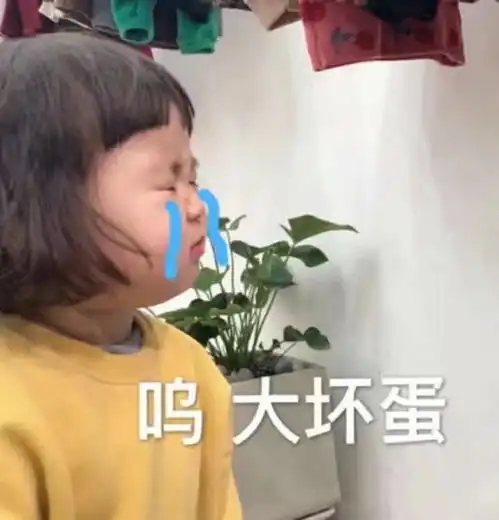 为什么会有人说情侣之间女生发表情包会有损气质 为什么会有人说情侣之间女生发表情包会有损气质