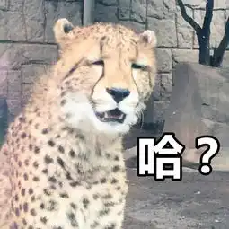 福州女子花300万买别墅,竟然没有屋顶开发商要有屋顶就要算面积了 福州女子花300万买别墅,竟然没有屋顶开发商要有屋顶就要算面积了