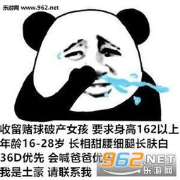  收留赌球破产女孩男孩图片不玩了把钱还我表情包图片下载乐游网游戏下载
