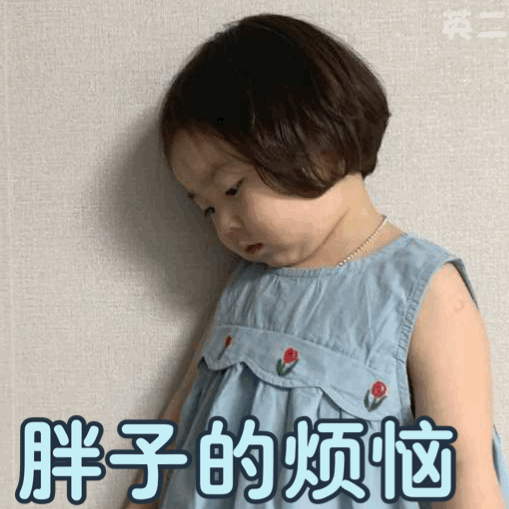  表情包胖子的烦恼
