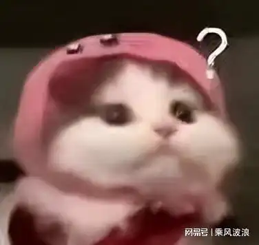 表情包问号表情包 表情包问号表情包