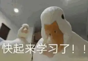  我的肌肤就要滑溜溜爱用身体磨砂分享