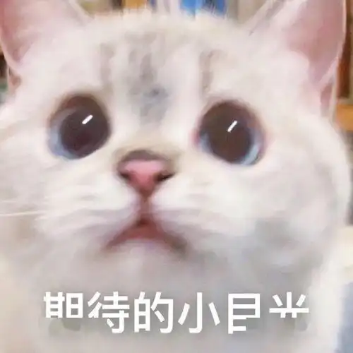 表情包图片快删除,脑子里有画面了 表情包图片快删除,脑子里有画面了