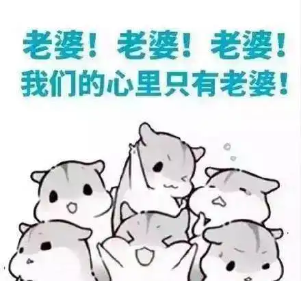 婚后,女人得到什么,又失去什么 婚后,女人得到什么,又失去什么