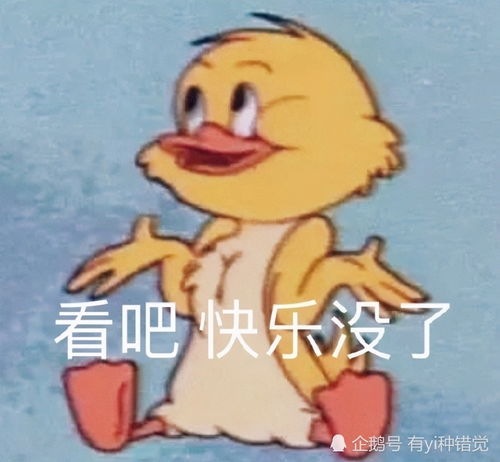 适合发动态的沙雕可爱文案 适合发动态的沙雕可爱文案