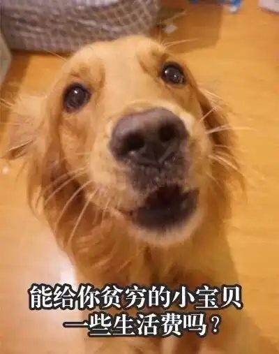  过了双十一,有网友给大家做了组困难群众表情包