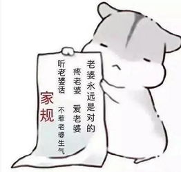  老婆我爱你表情包大全,哈哈哈哈,笑抽了