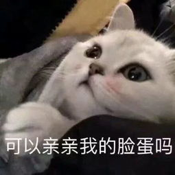  每日表情丨懂事点好吗