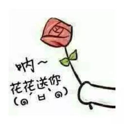 给花表情包搞笑