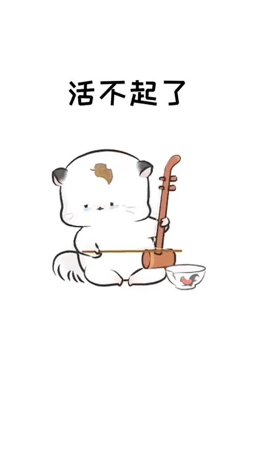 画圈圈表情包视频芭蕾